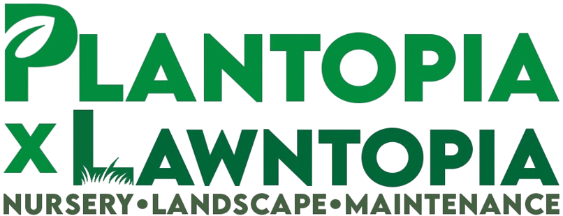 PlantopiaxLawntopia